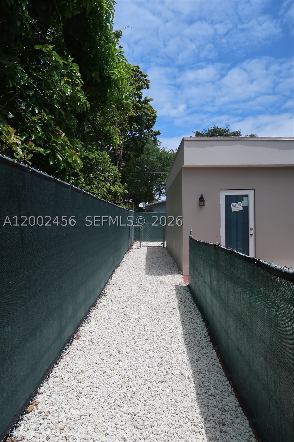 Miami photo 5