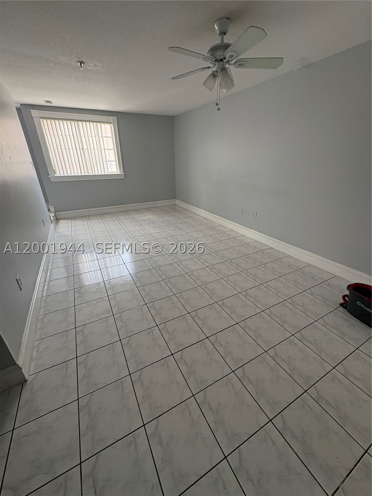 Miami photo 5