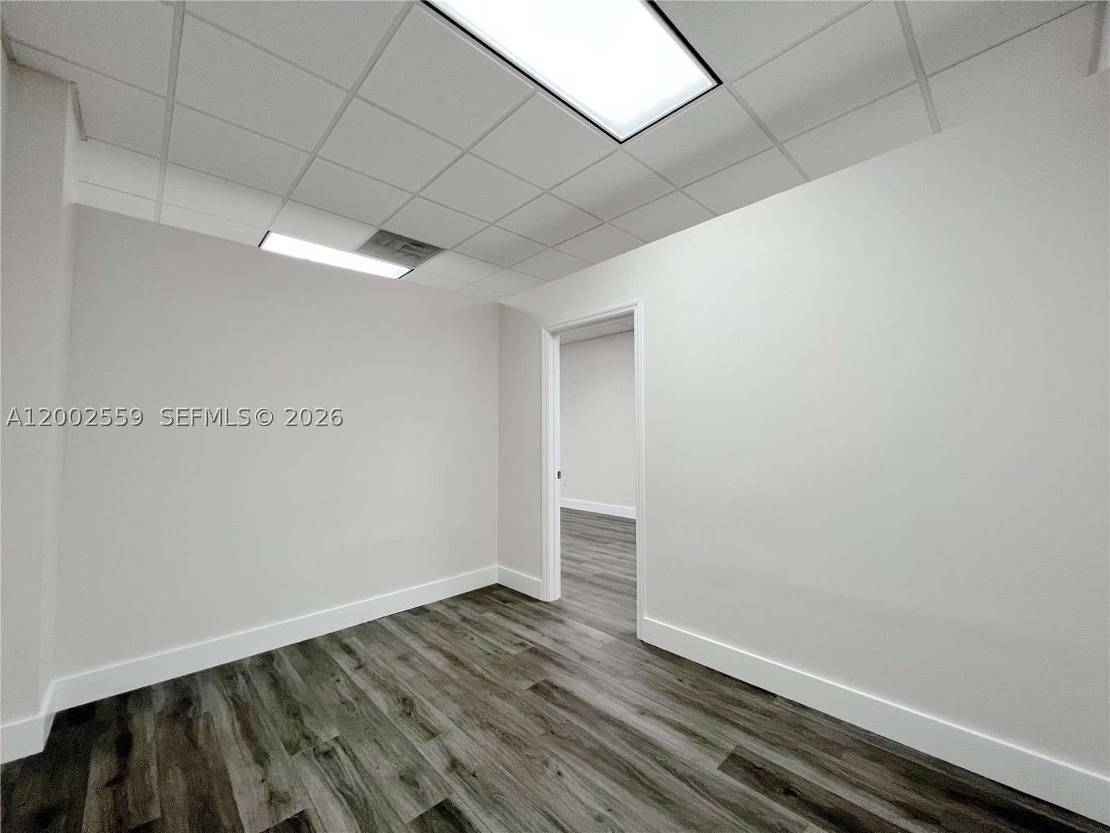Doral photo 5