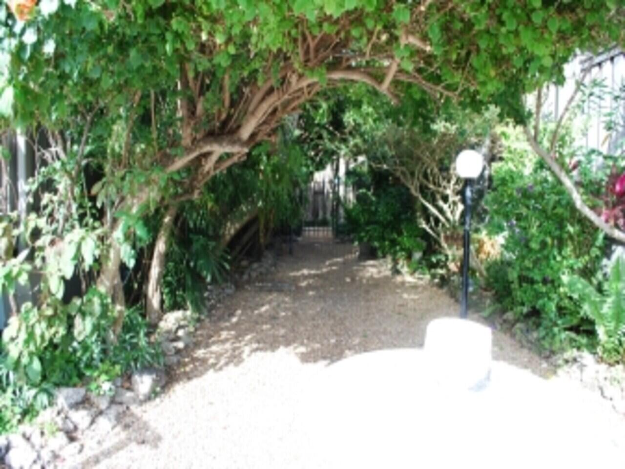 Miami photo 2