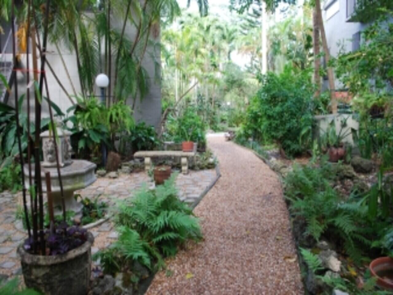 Miami photo 3