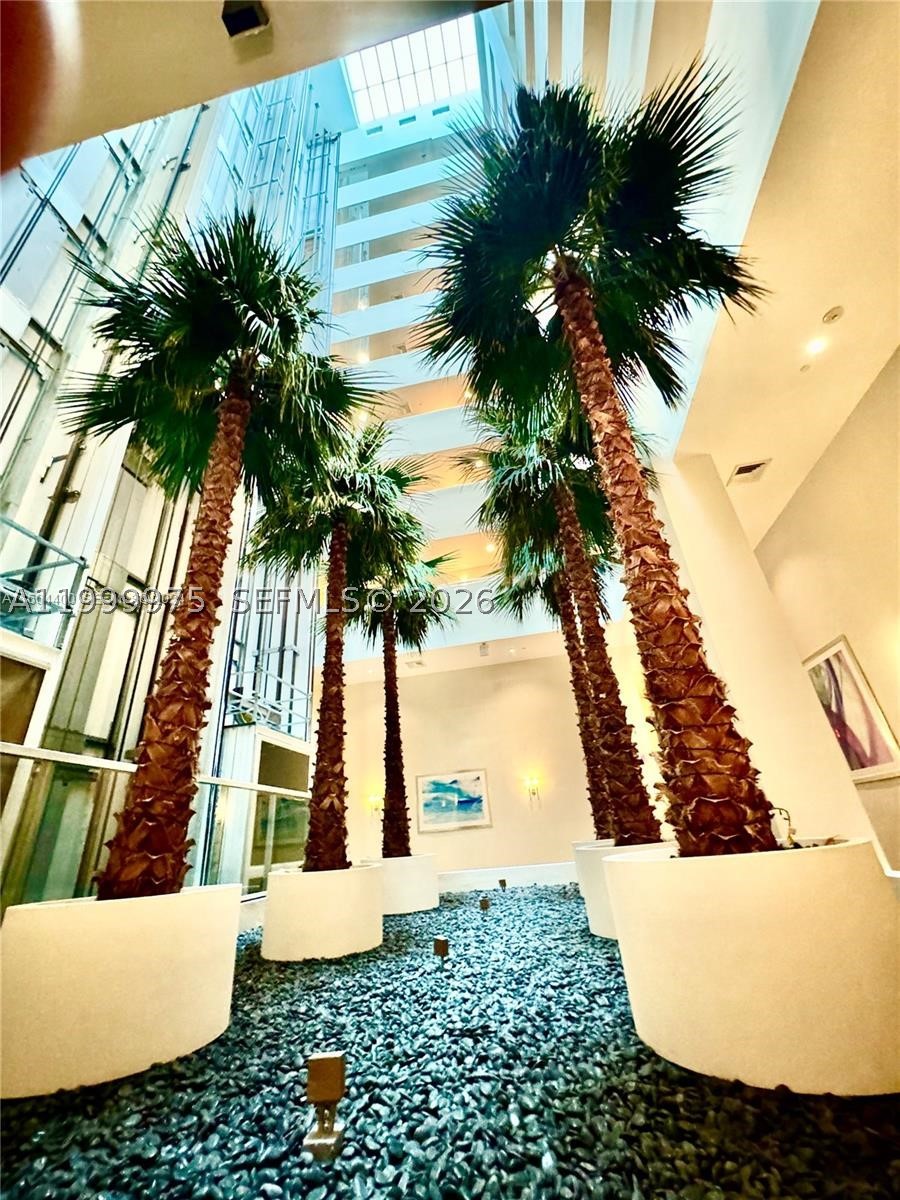 Aventura photo 2