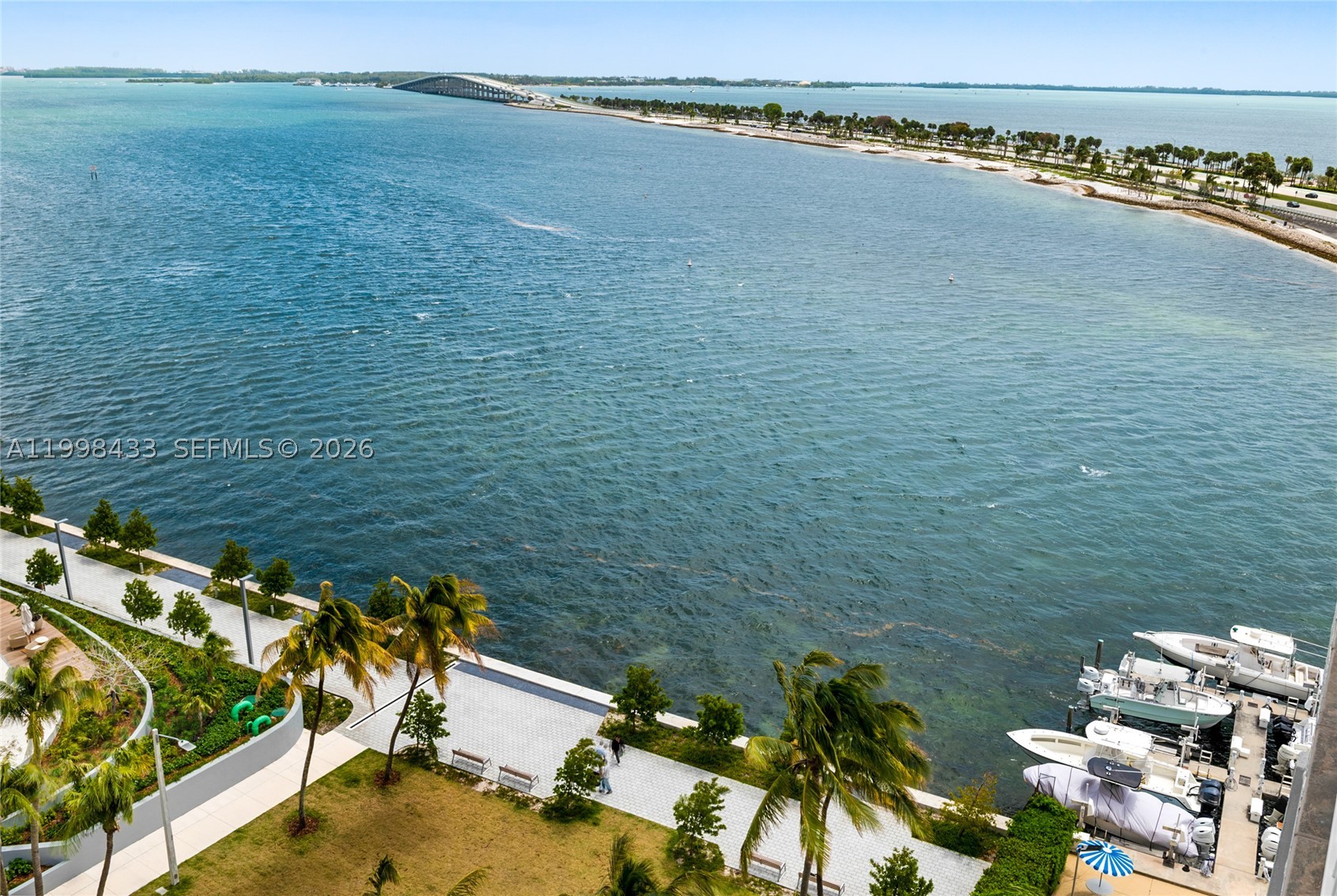 Miami photo 1