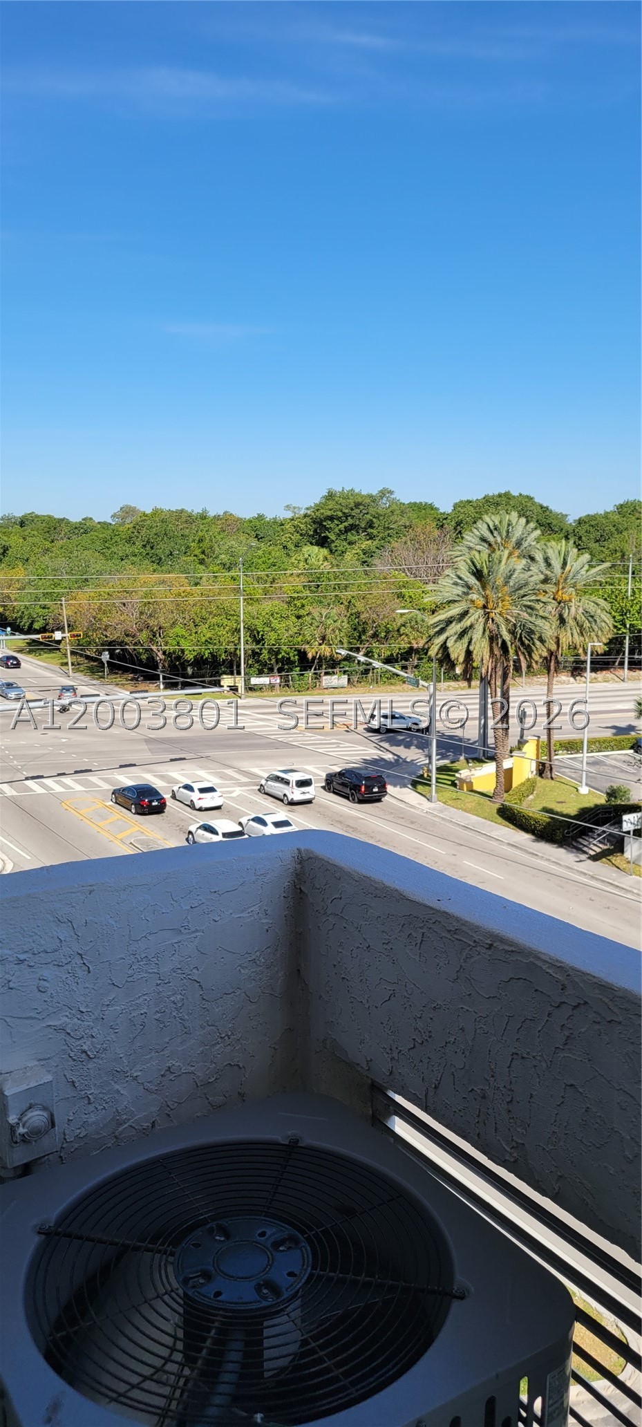 North Miami photo 4