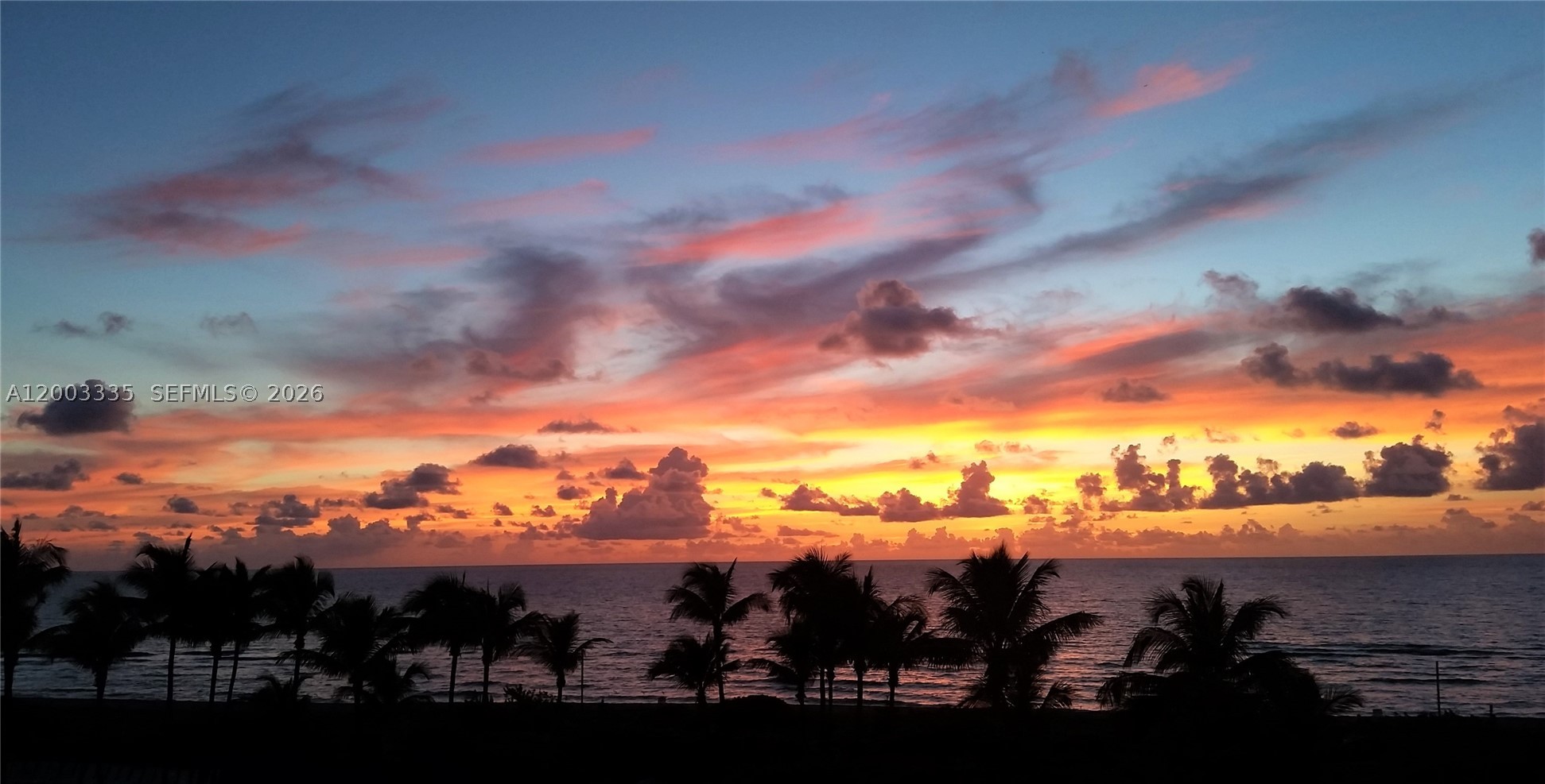 Miami Beach photo 2