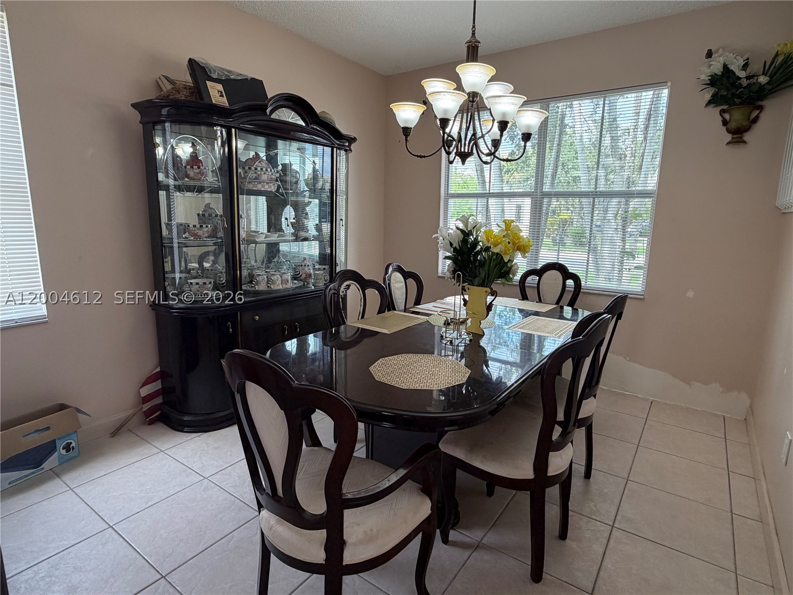 Pembroke Pines photo 4