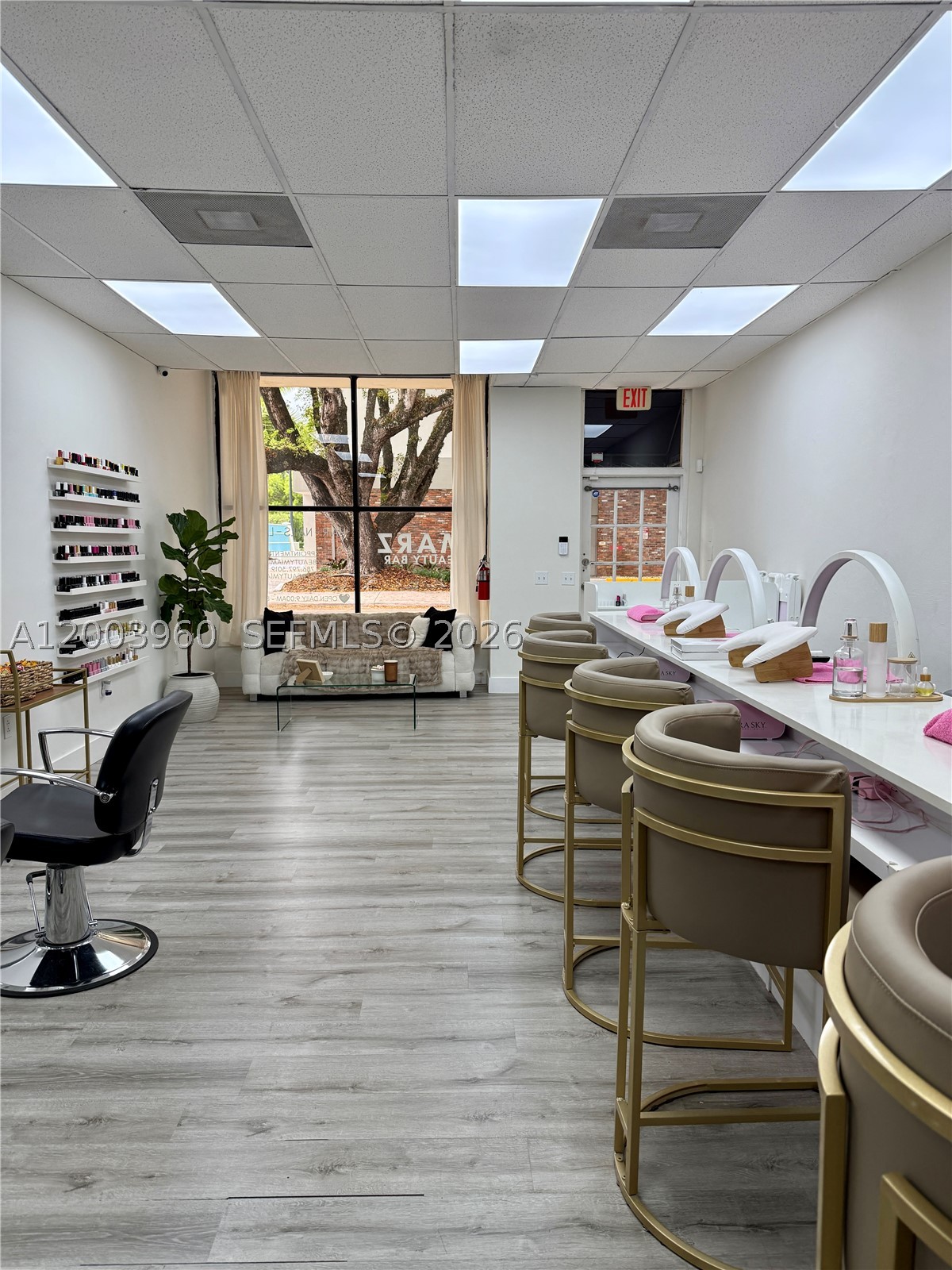 Coral Gables photo 3