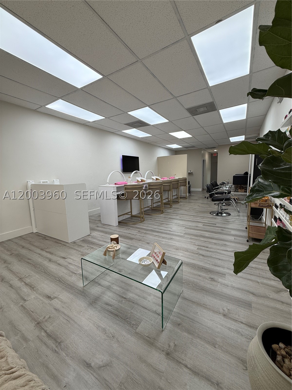 Coral Gables photo 4