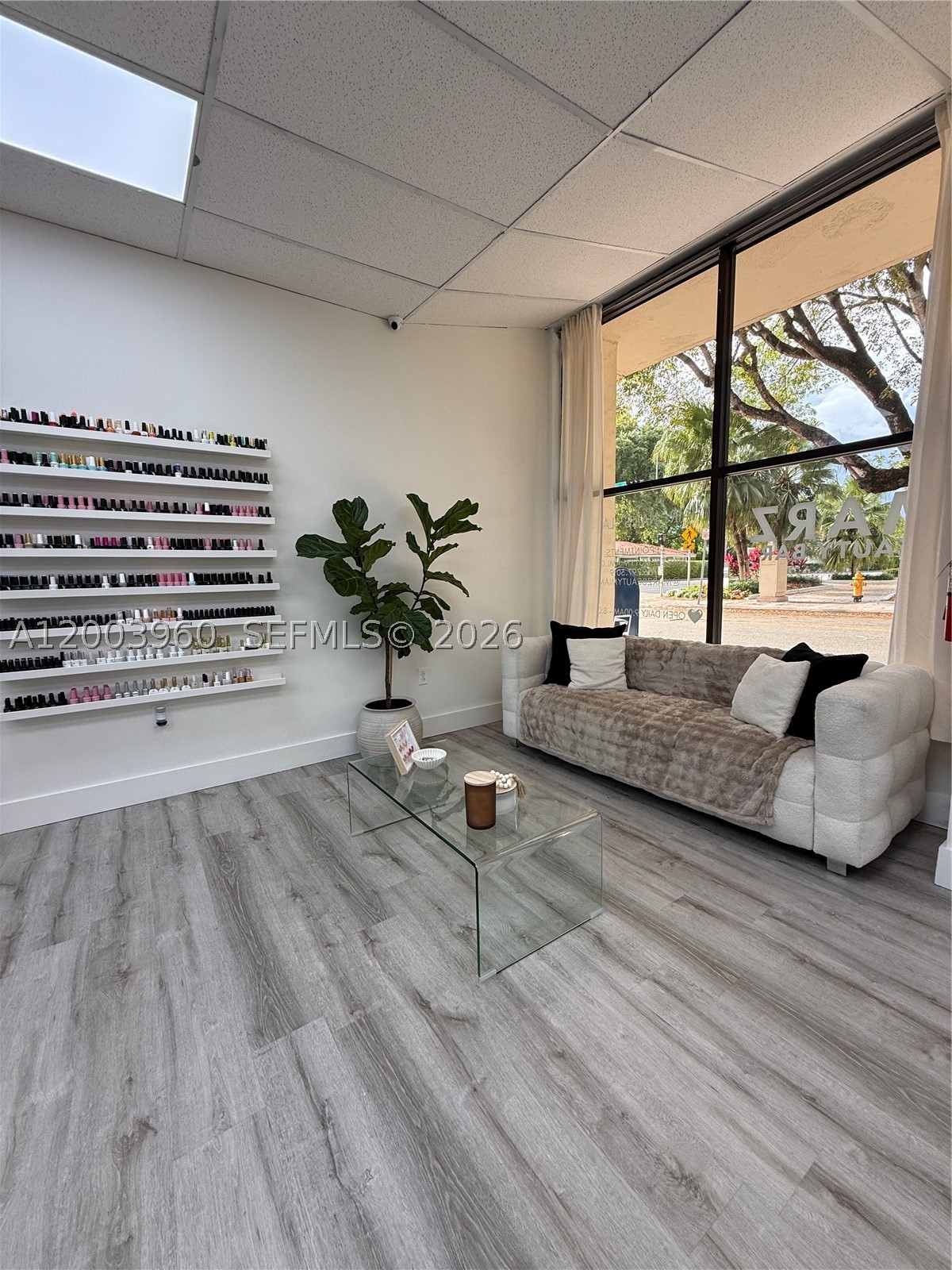 Coral Gables photo 5