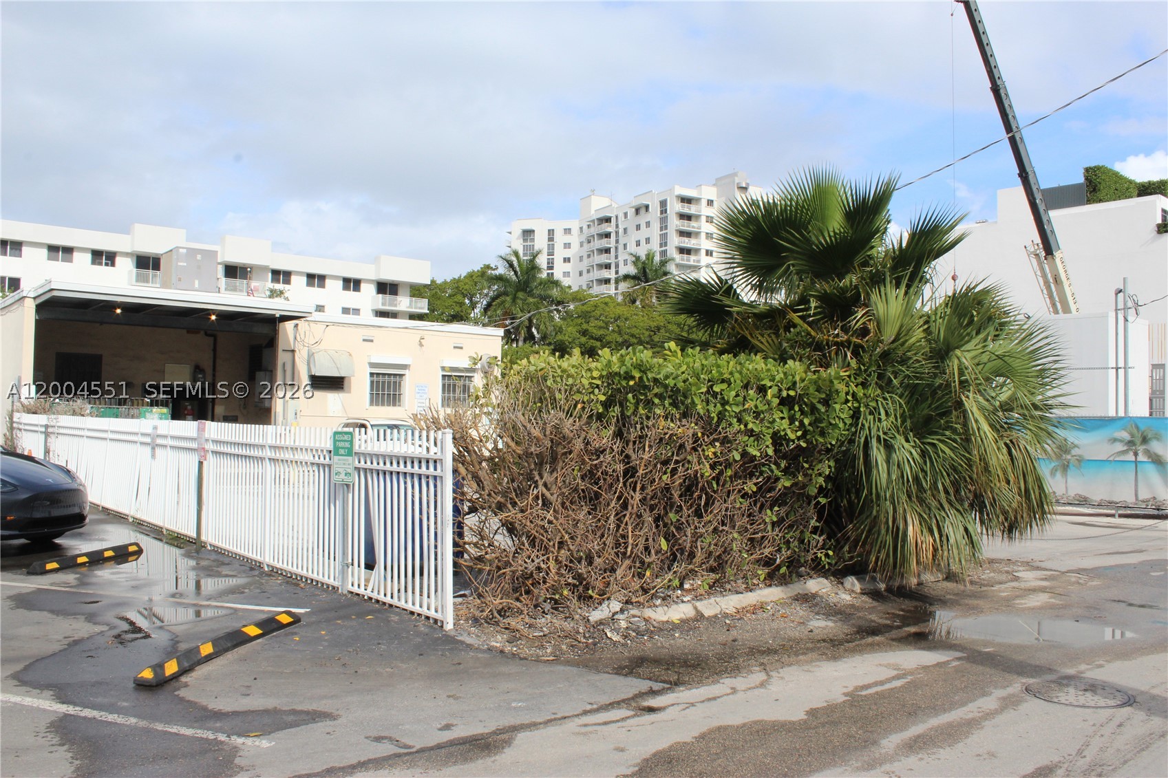 Miami Beach photo 5