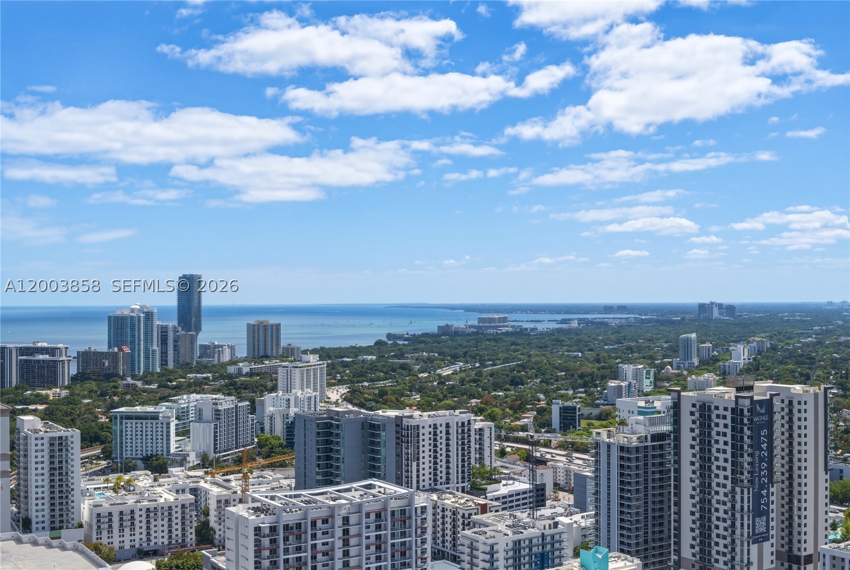 Miami photo 2
