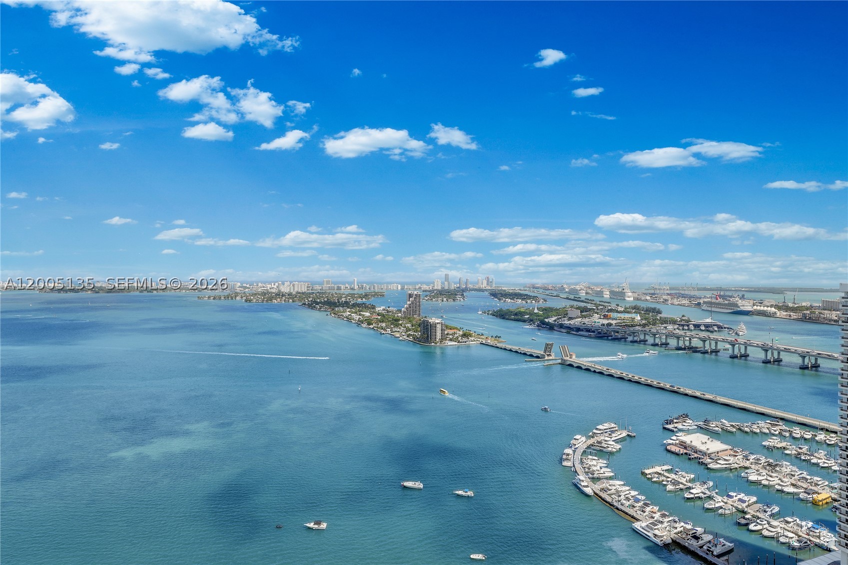 Miami photo 3