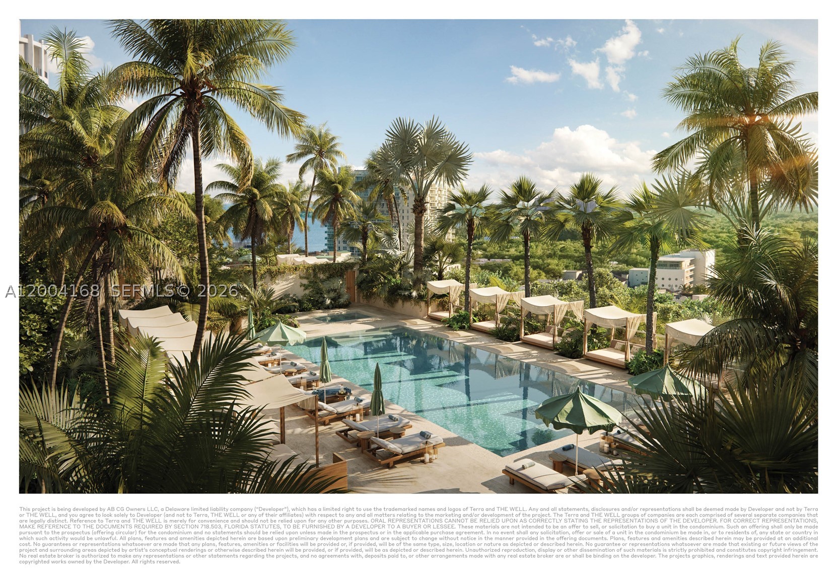 Miami photo 5