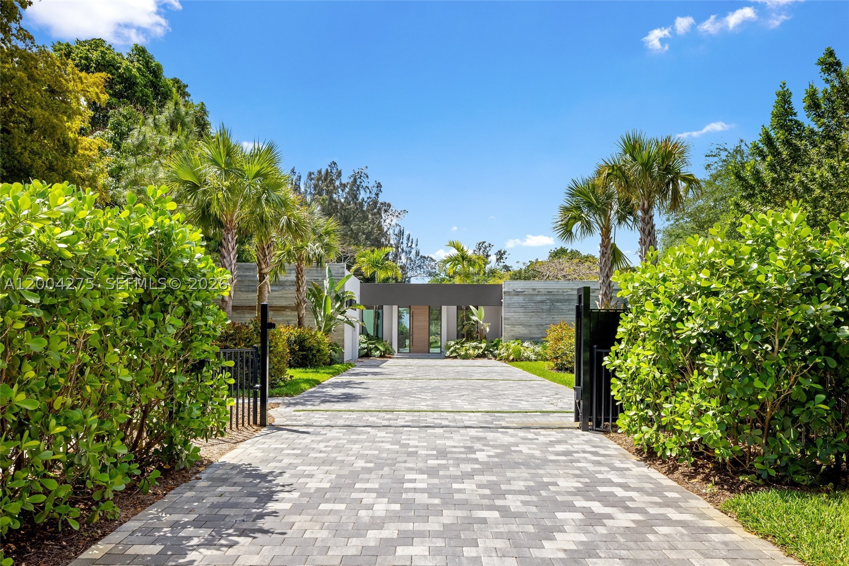 Plantation photo 2