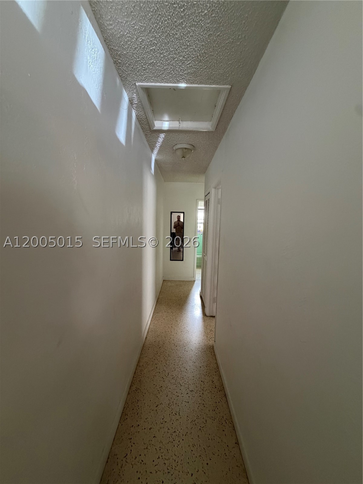 Miami photo 4