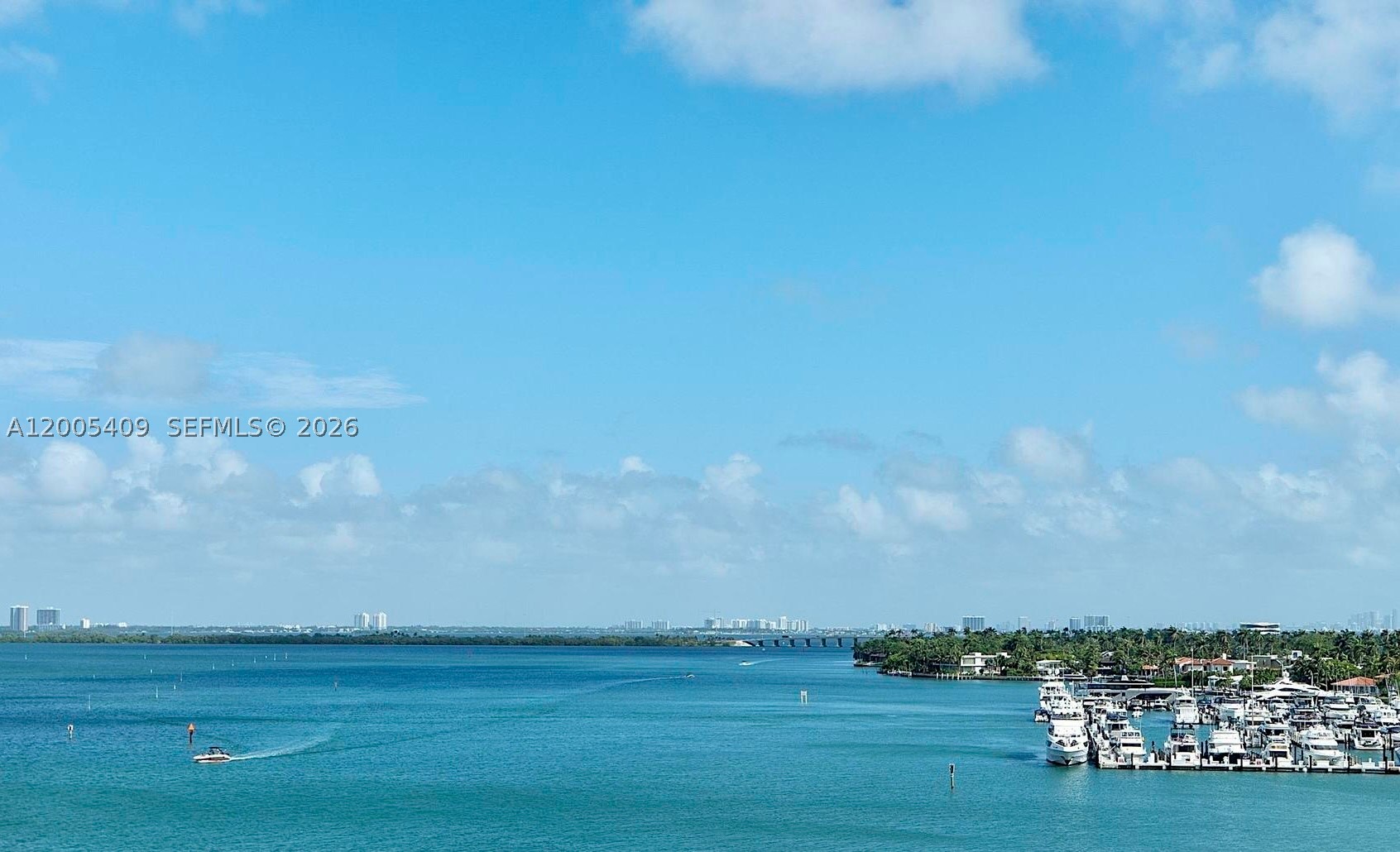 Miami Beach photo 4