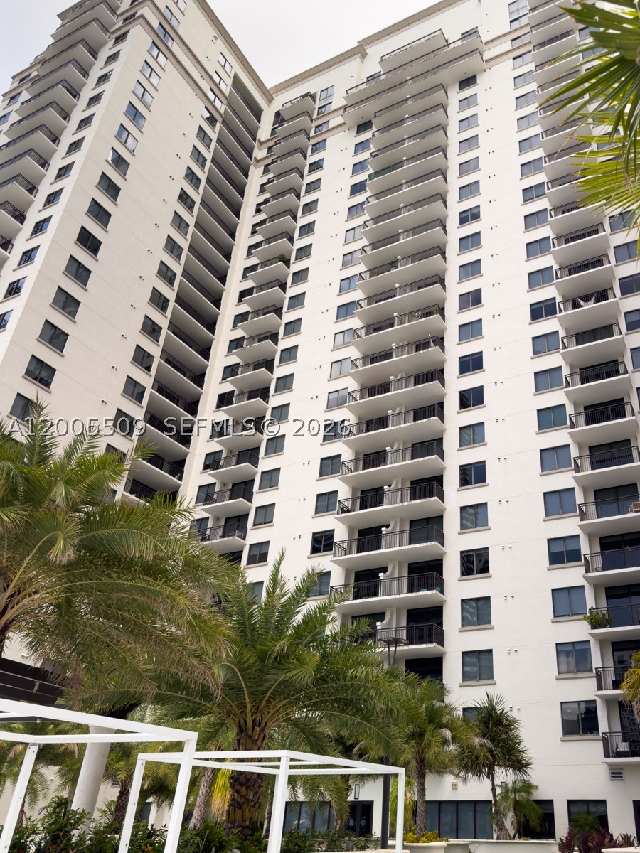 Miami photo 1