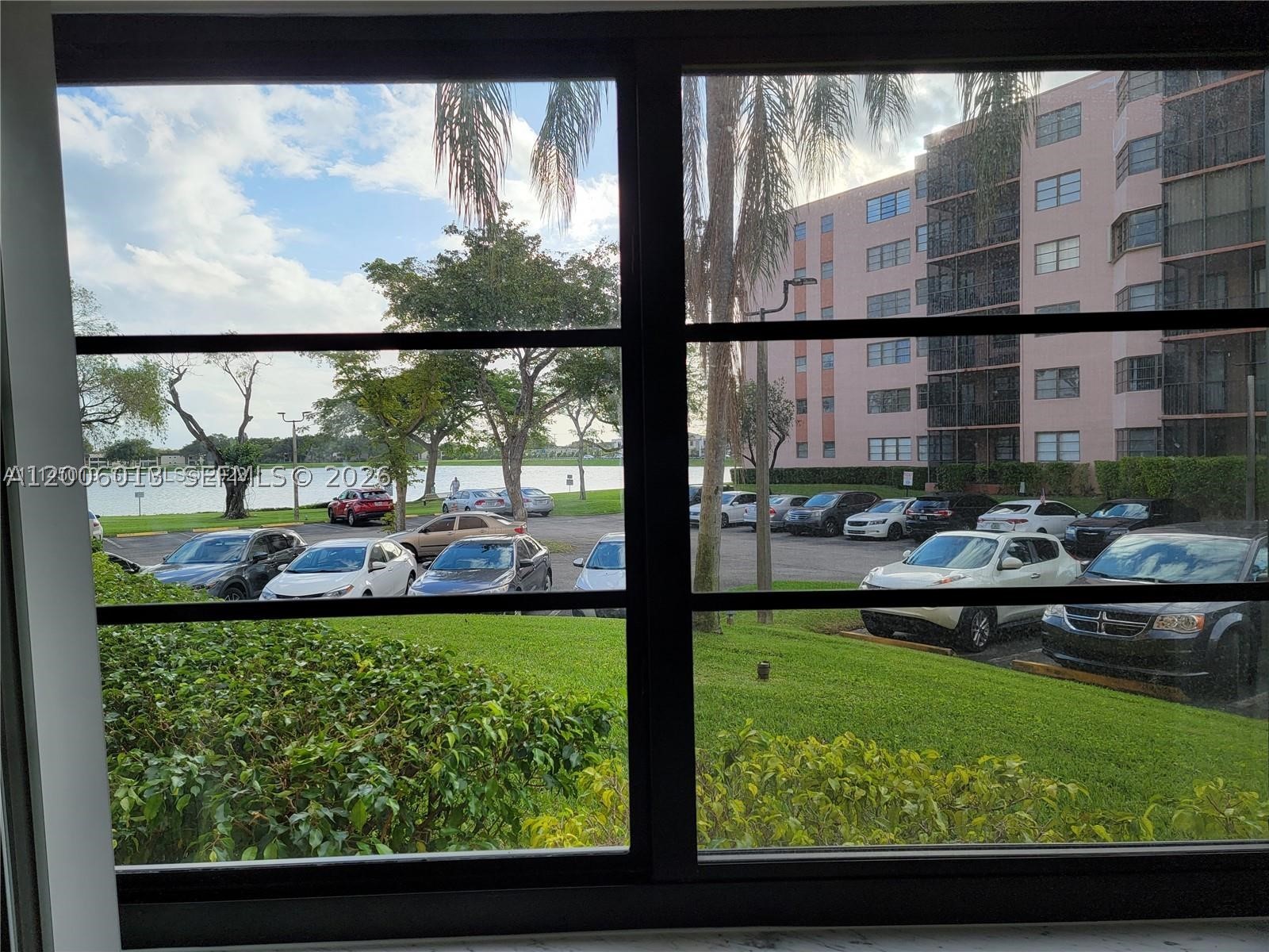 Miami photo 2