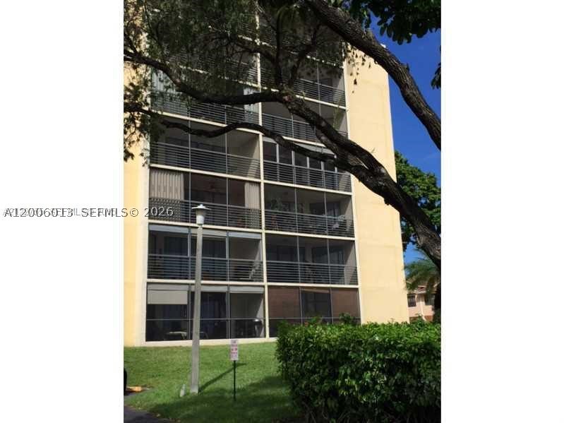 Miami photo 3