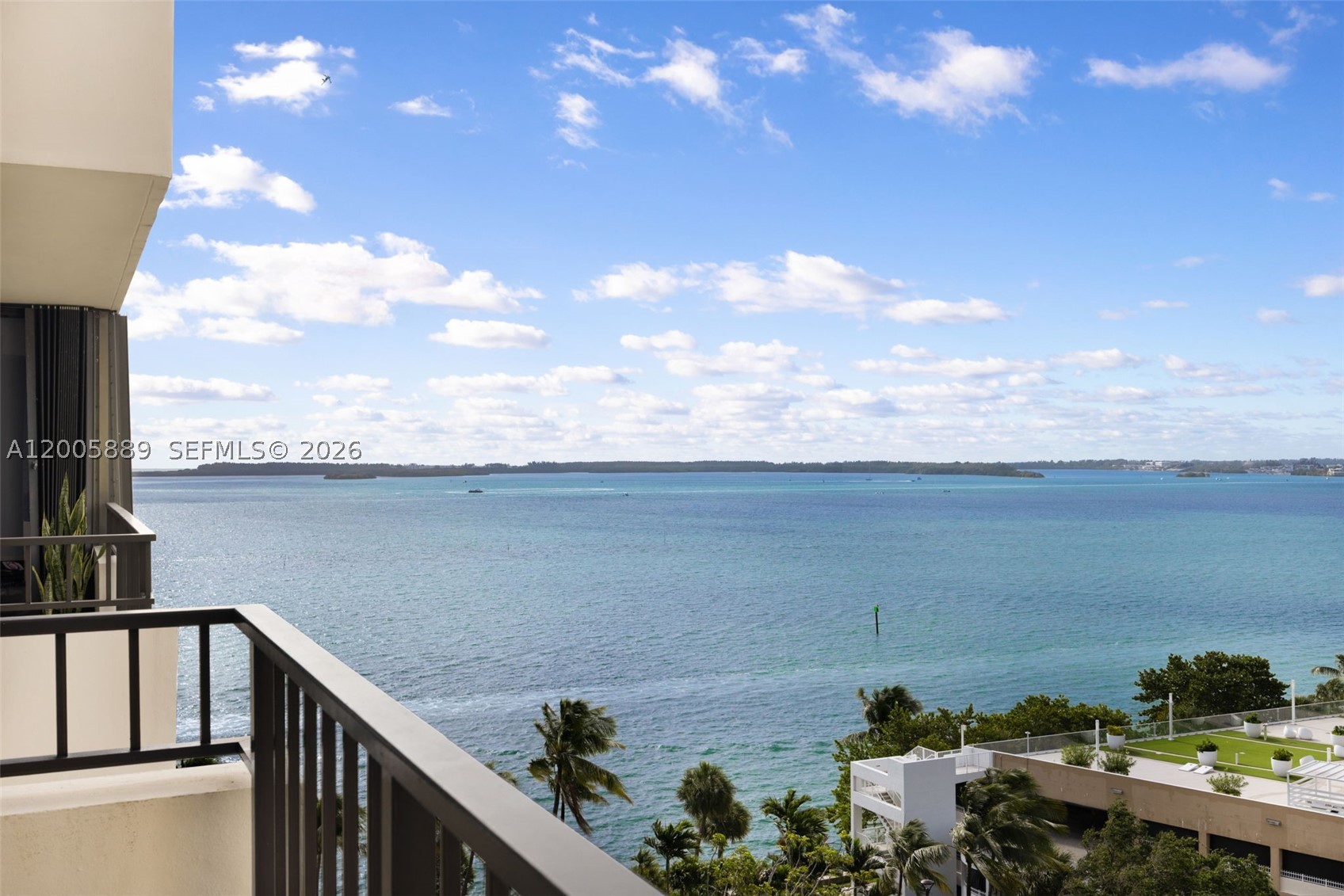 Miami photo 5