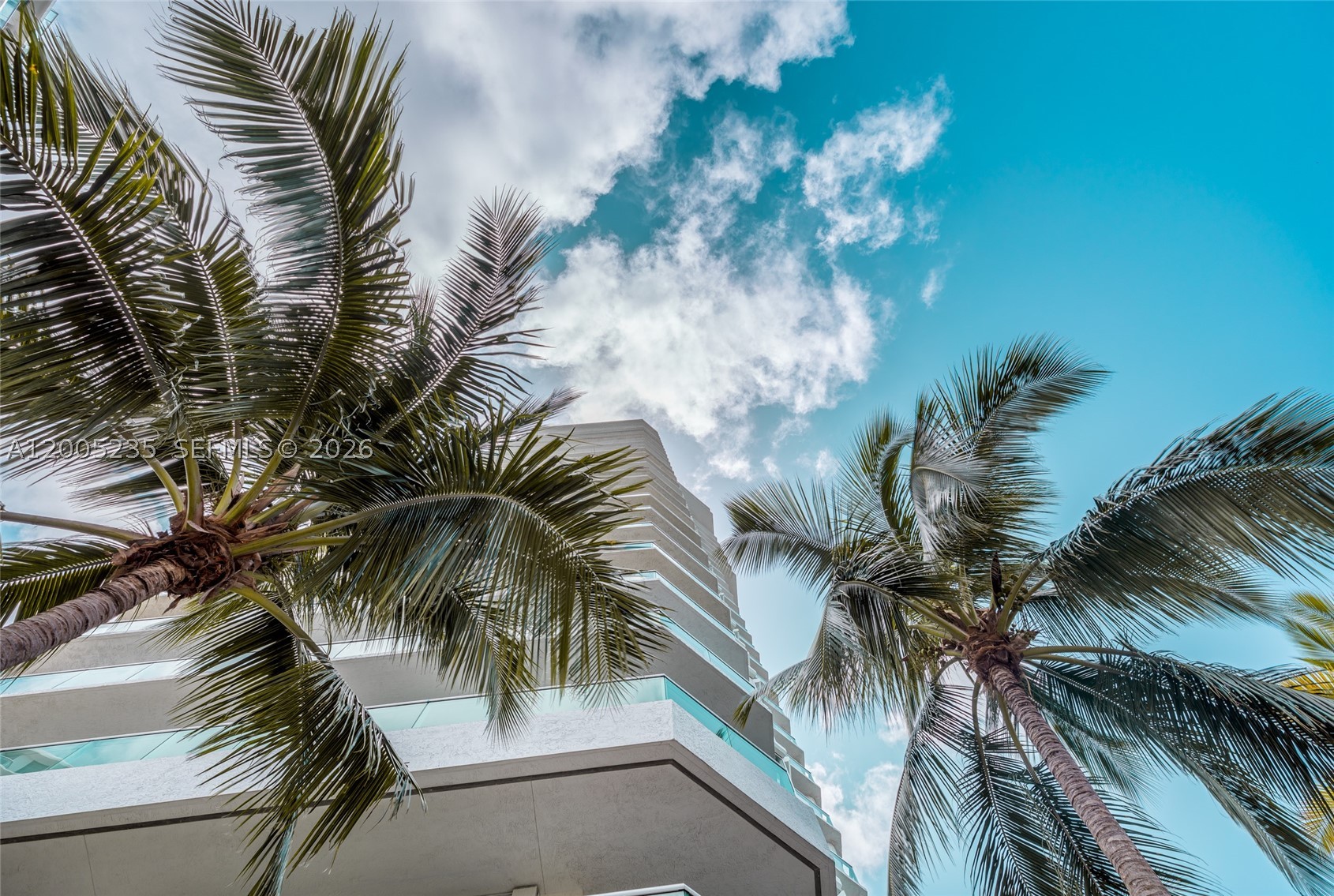 Sunny Isles Beach photo 3