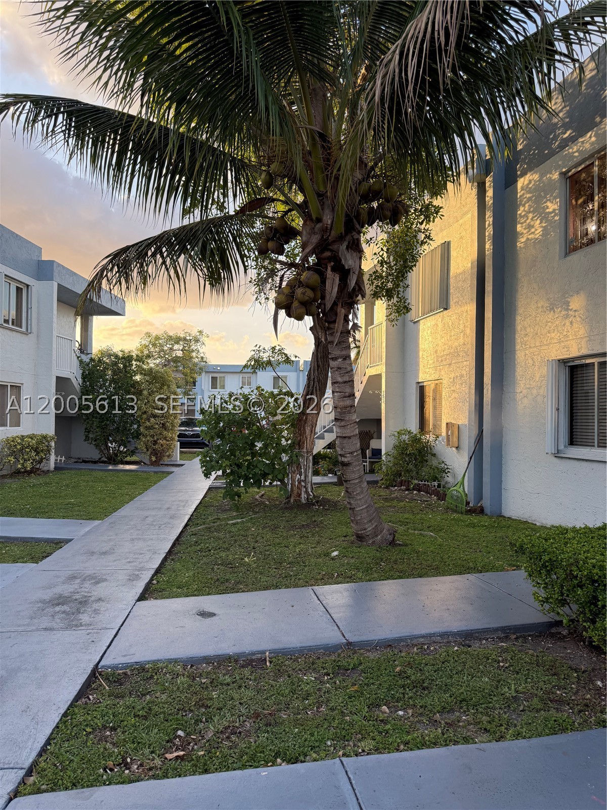 Miami photo 3