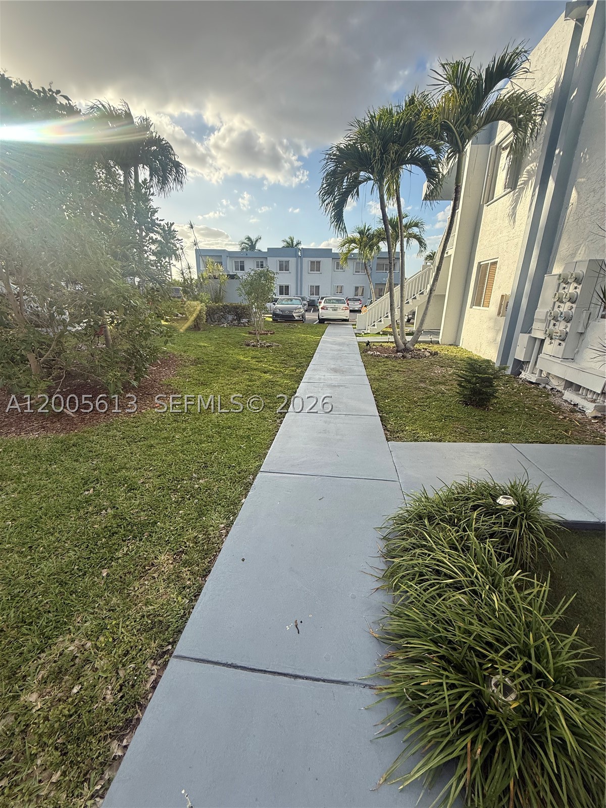 Miami photo 4