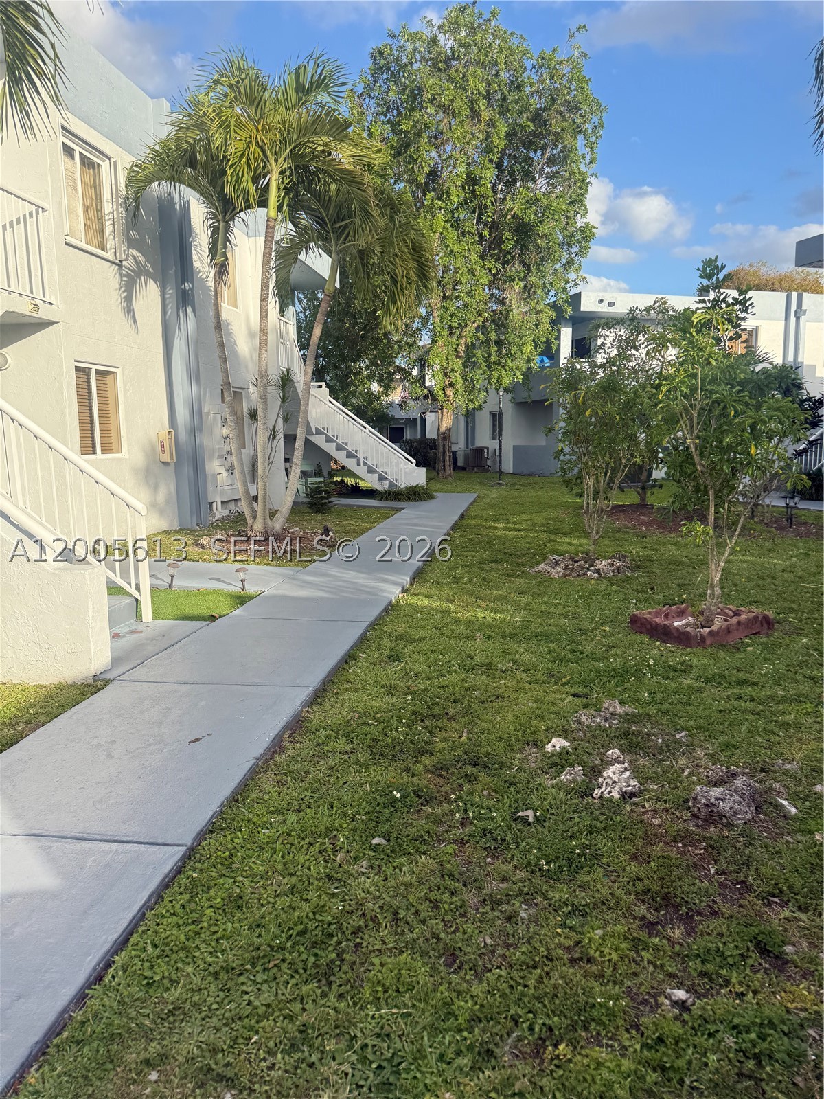 Miami photo 5
