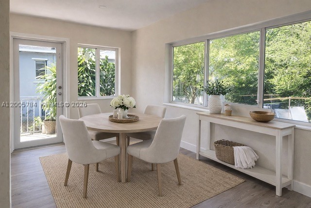 North Miami photo 5