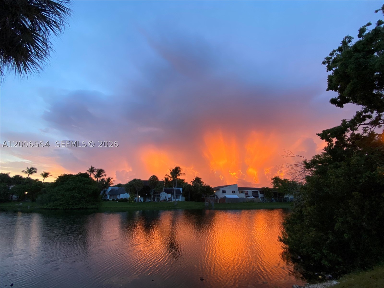 Miami photo 1