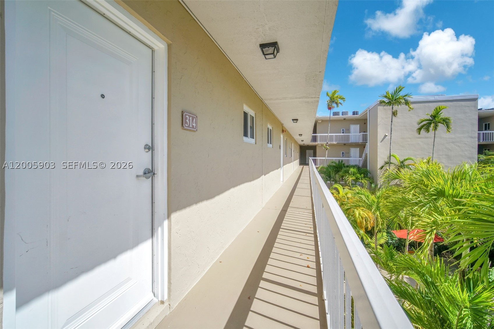 Miami photo 4
