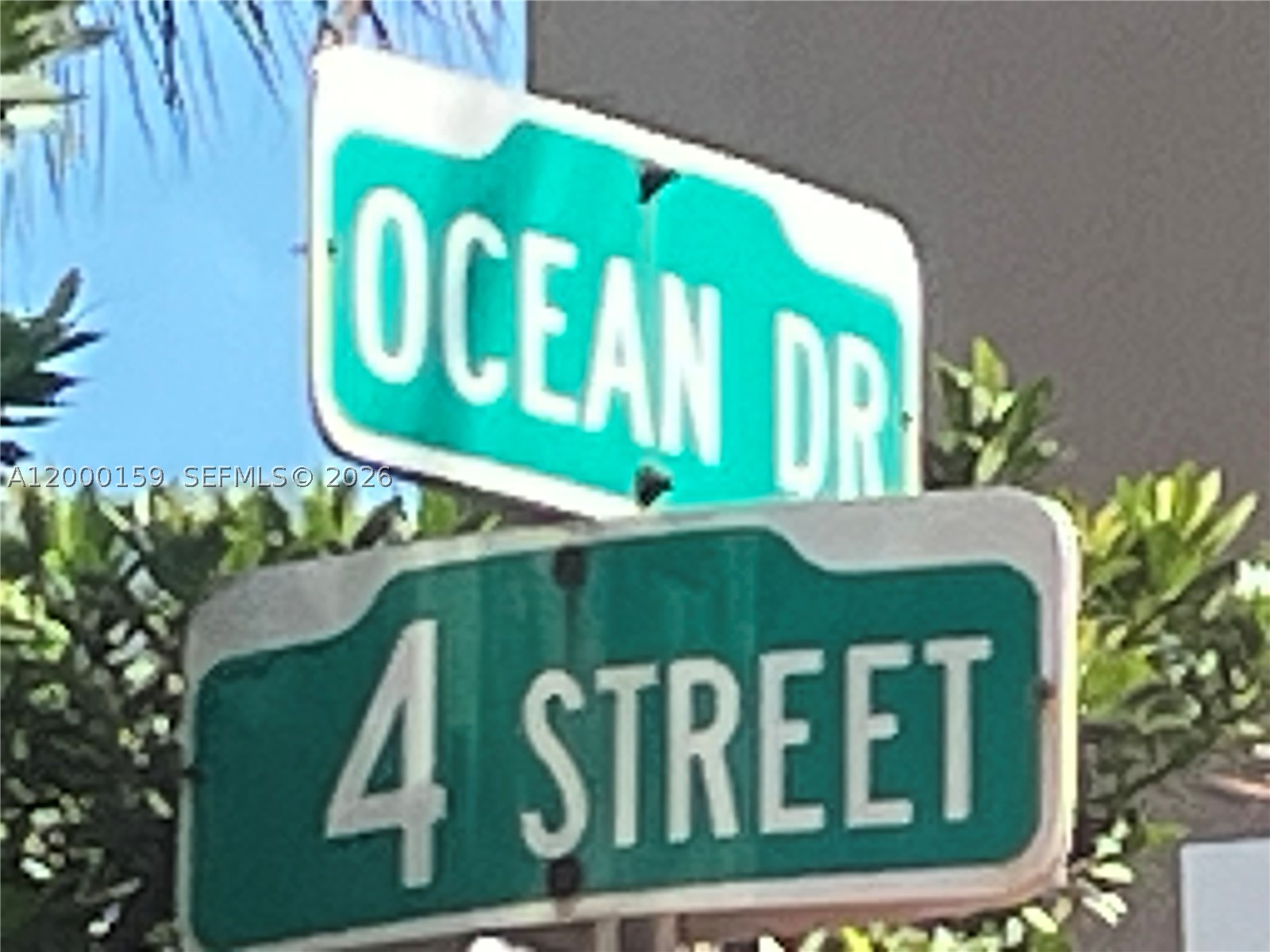 Miami Beach photo 1
