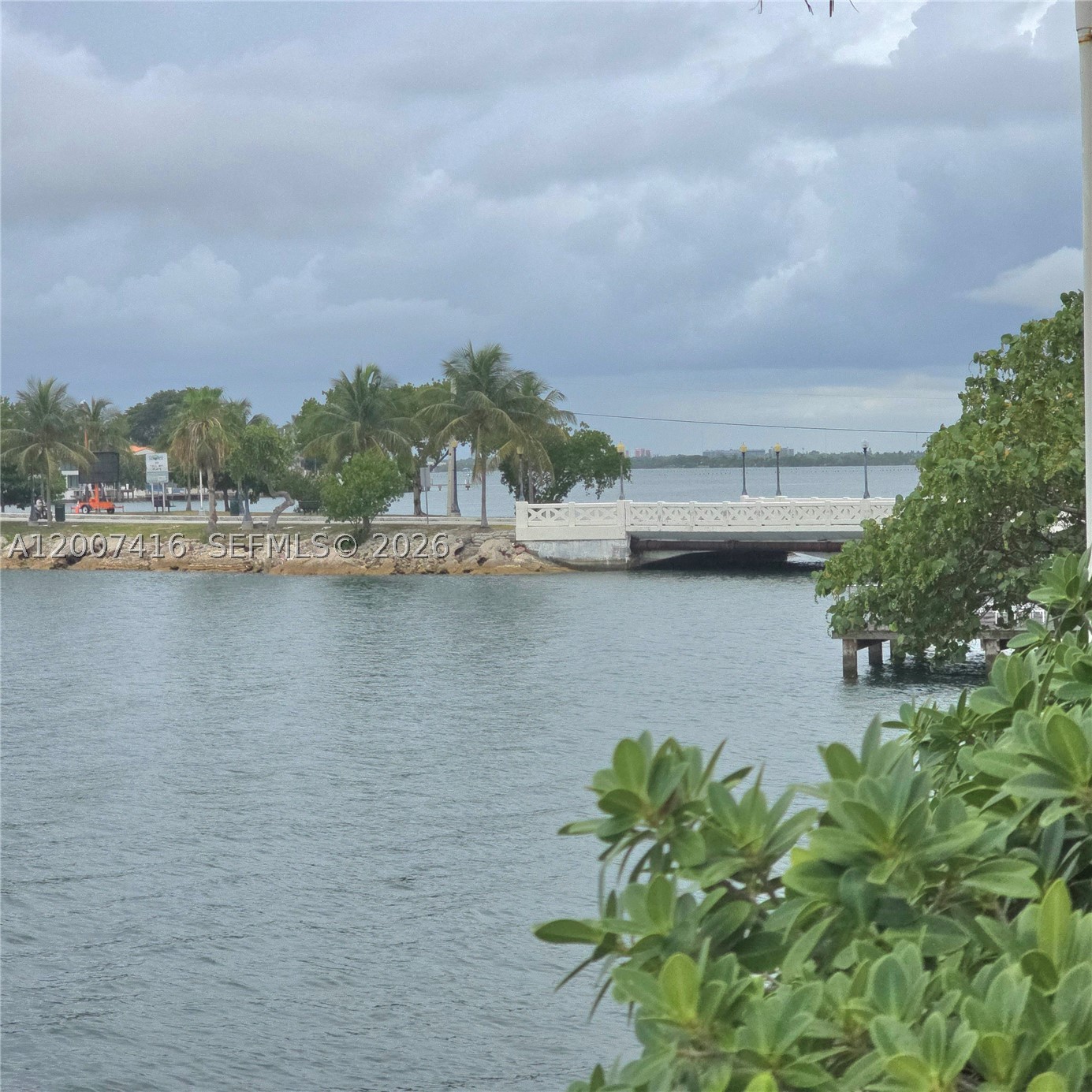 Miami Beach photo 3