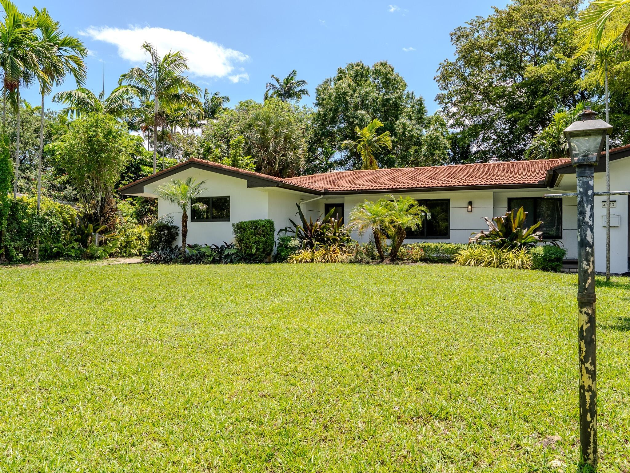 Plantation photo 2