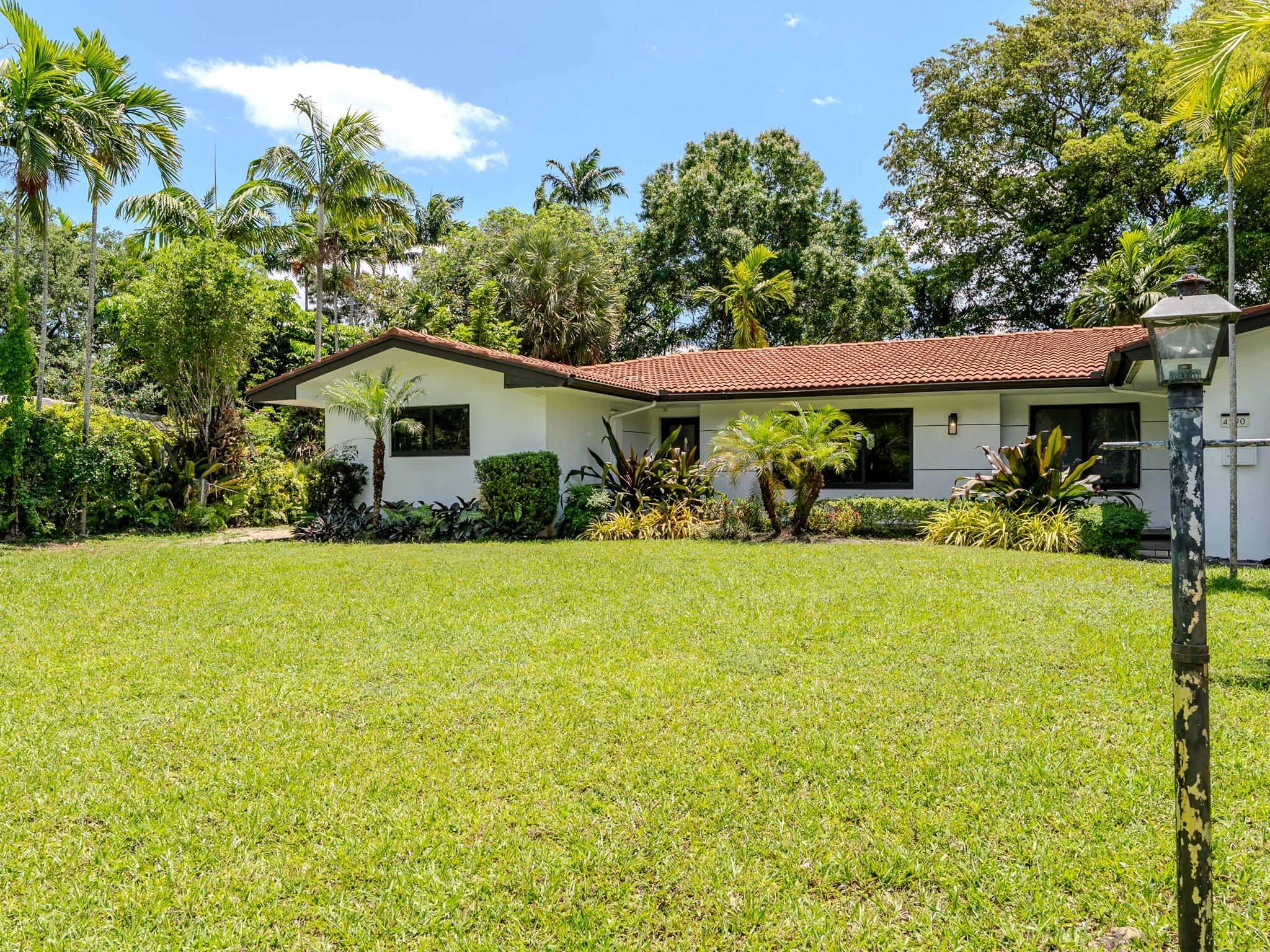 Plantation photo 3