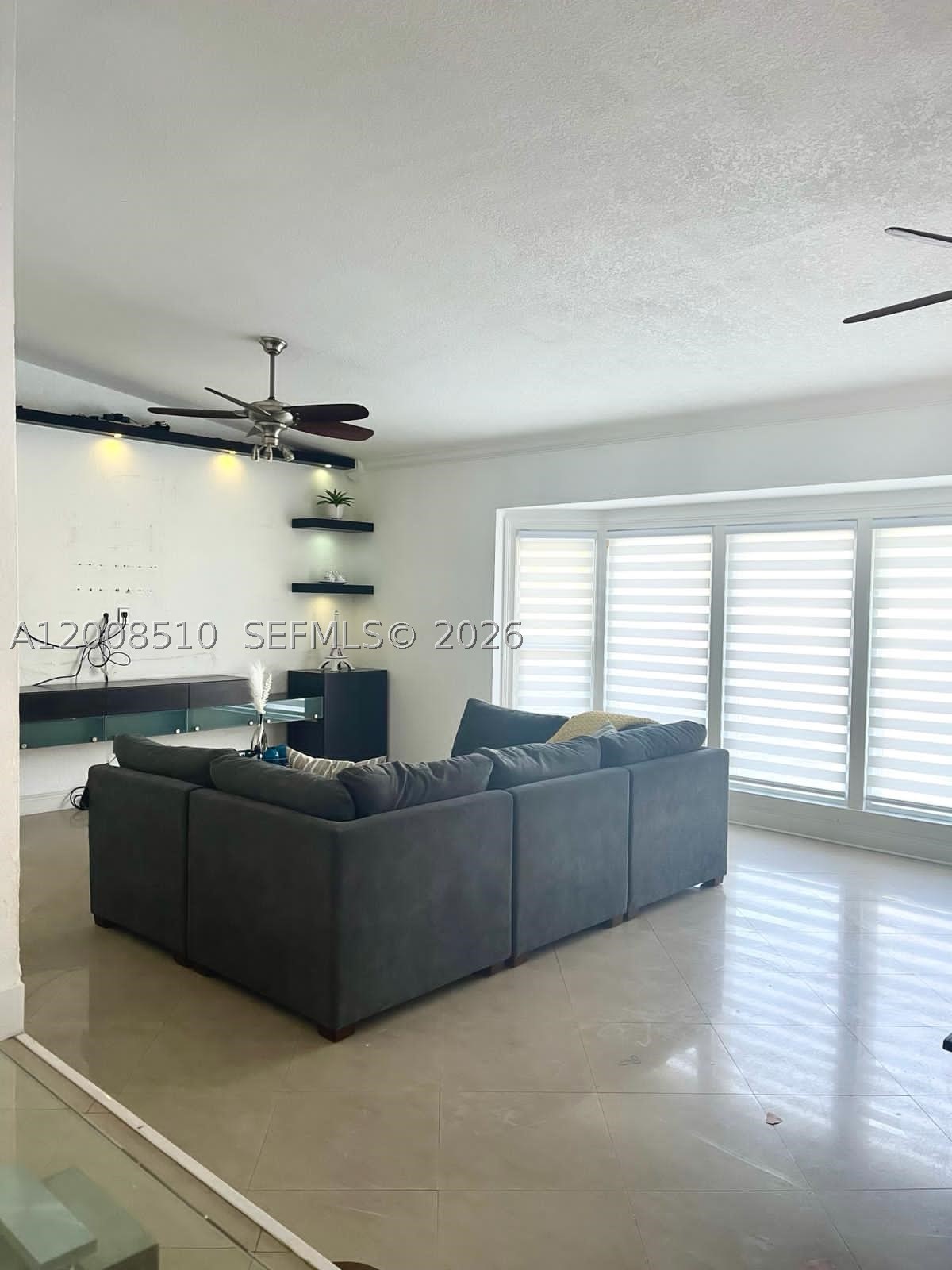 Miami photo 5