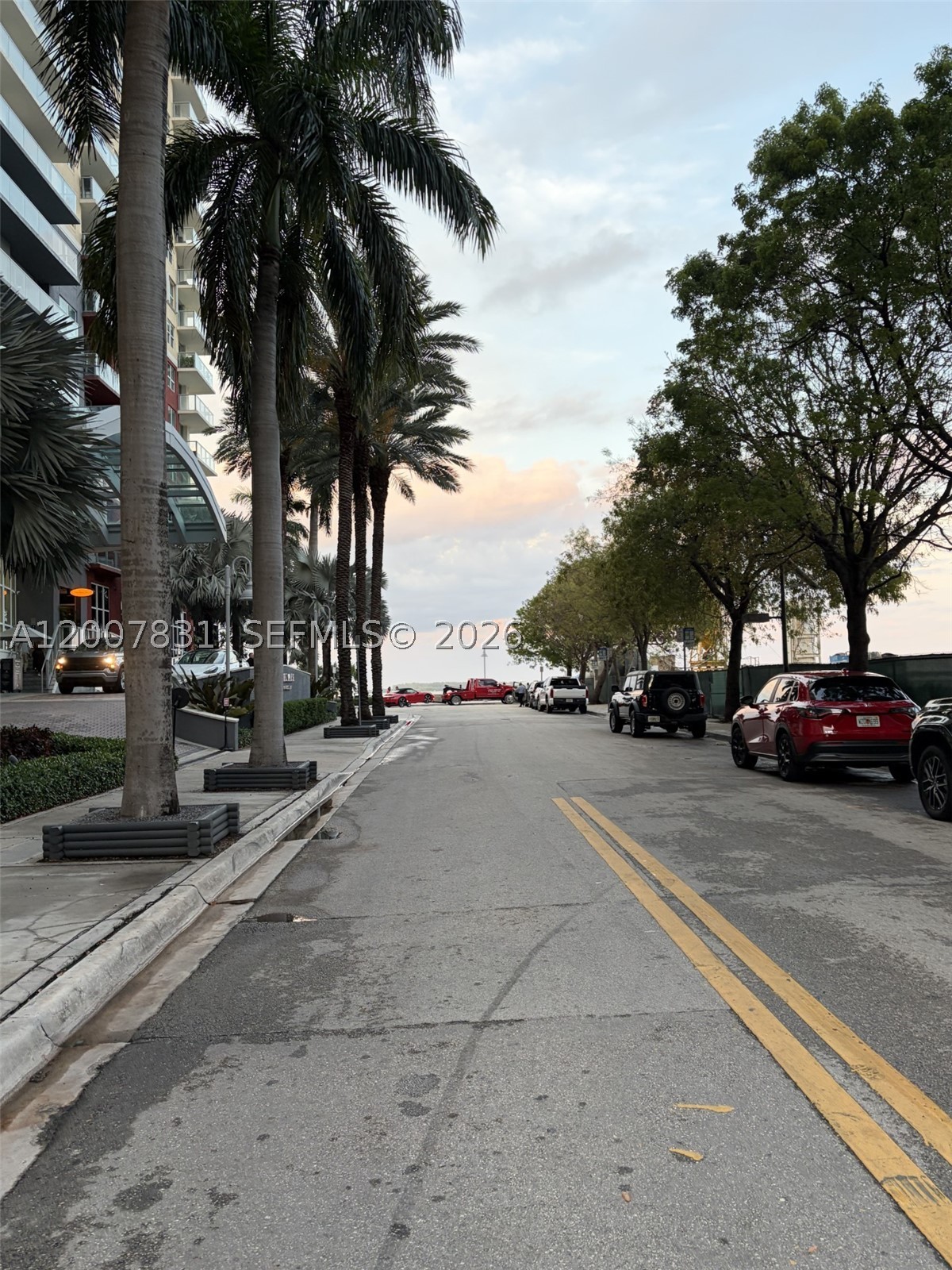 Miami photo 3