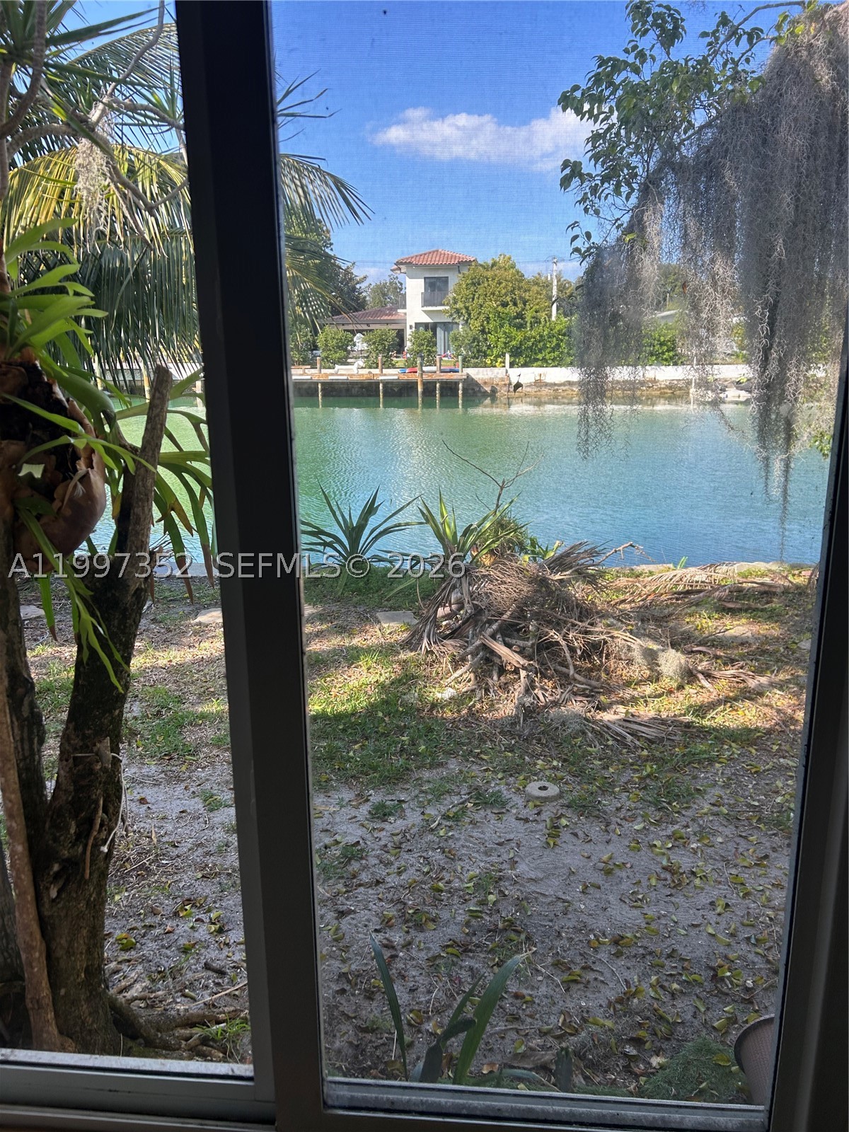 Miami Beach photo 1