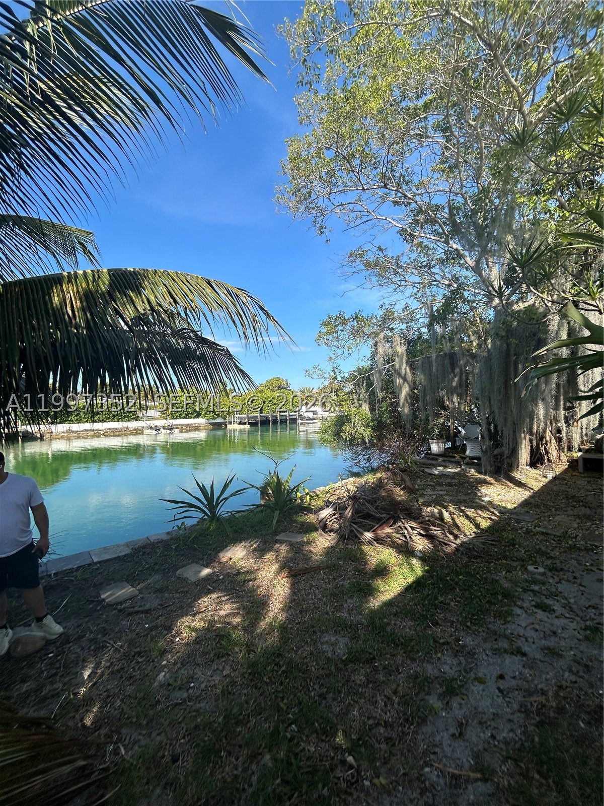 Miami Beach photo 2