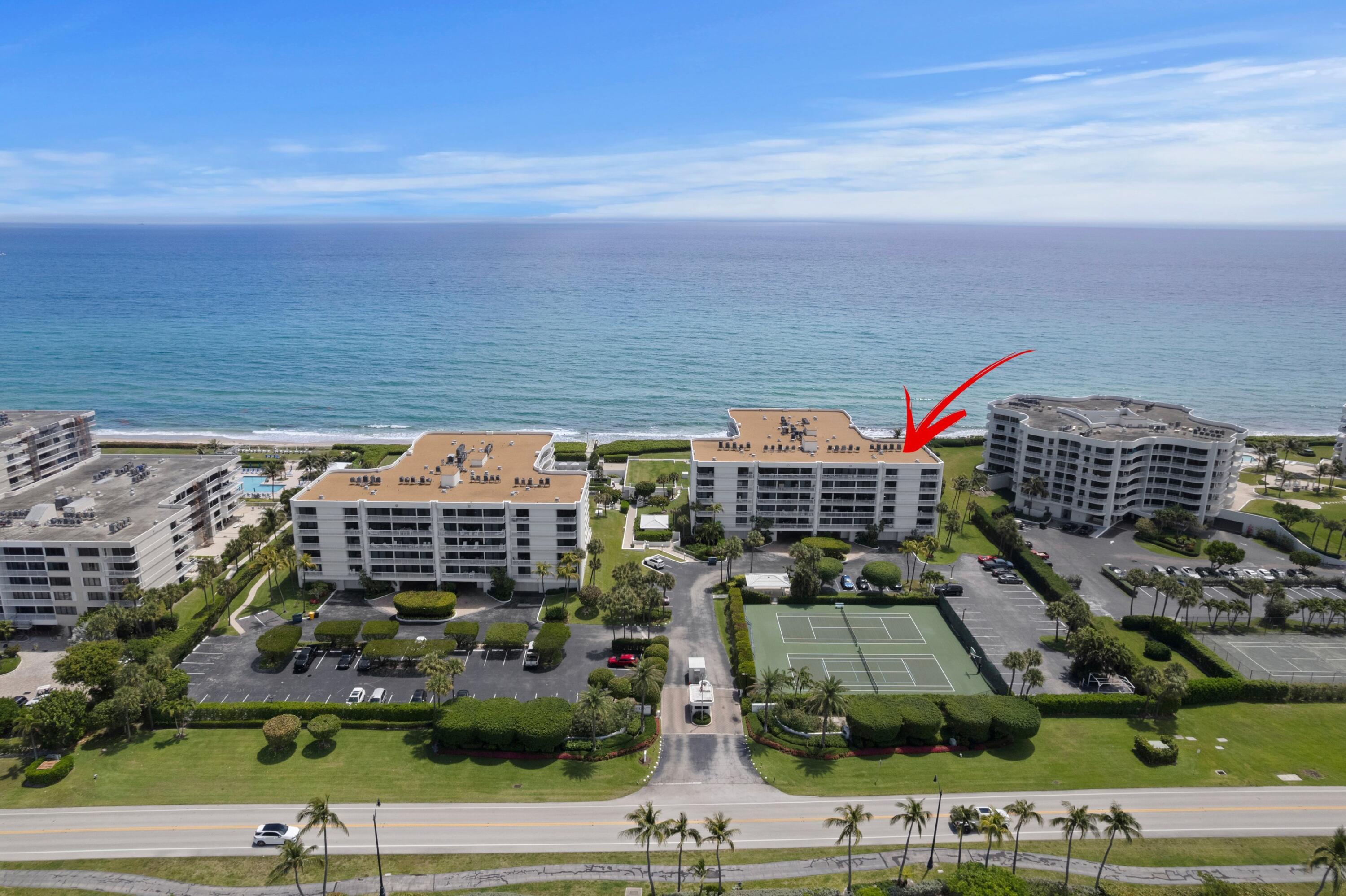 Palm Beach photo 3