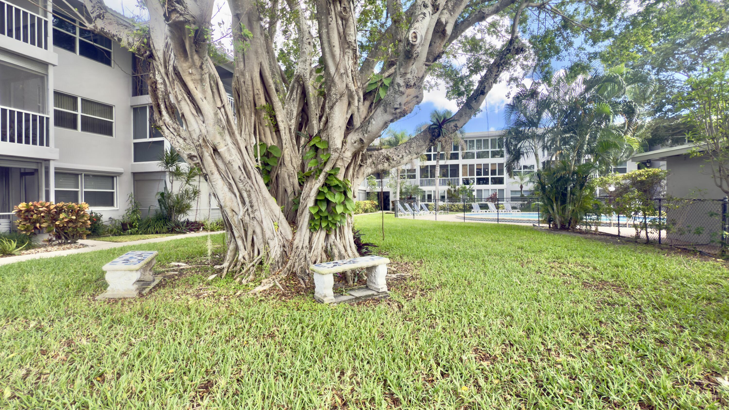 Fort Lauderdale photo 2