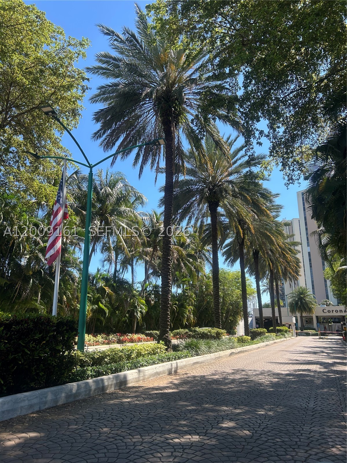 Aventura photo 3
