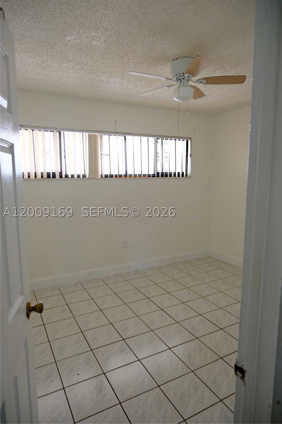 Miami photo 5