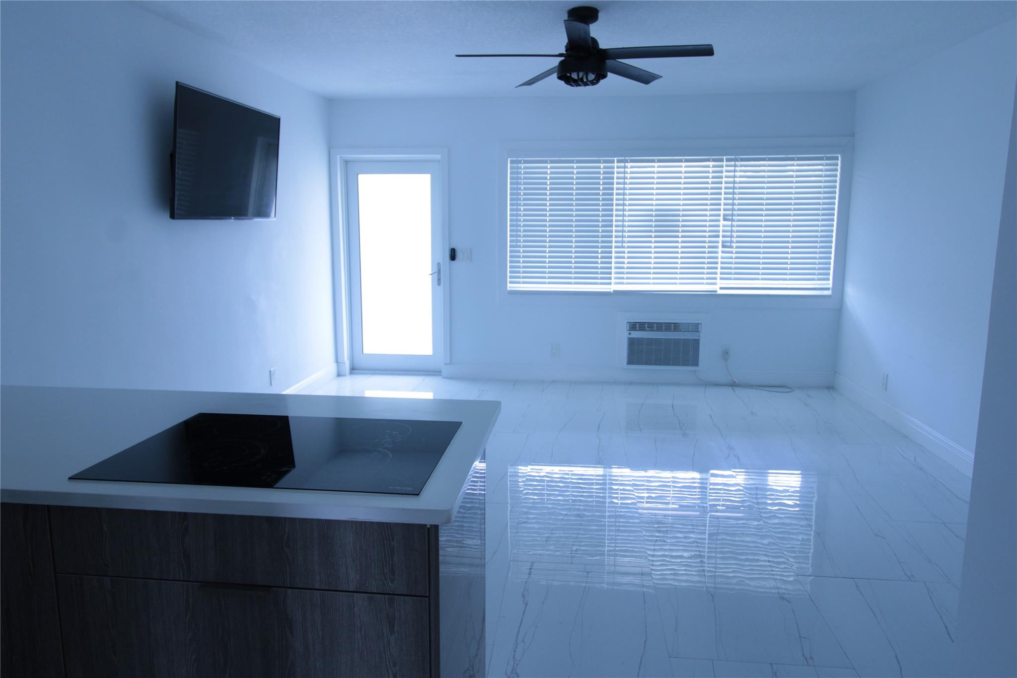 Hallandale Beach photo 5