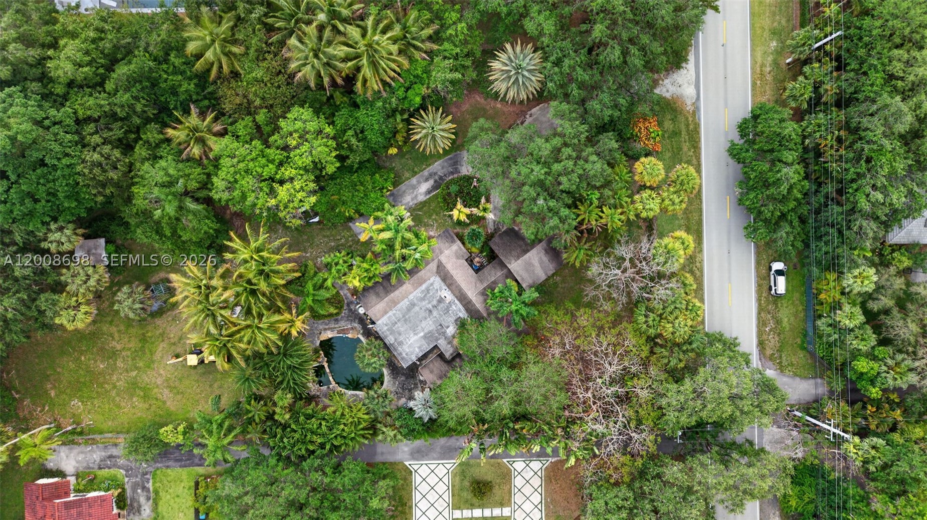 Miami photo 3