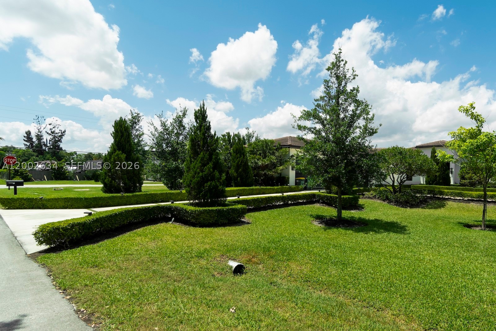 Plantation photo 2