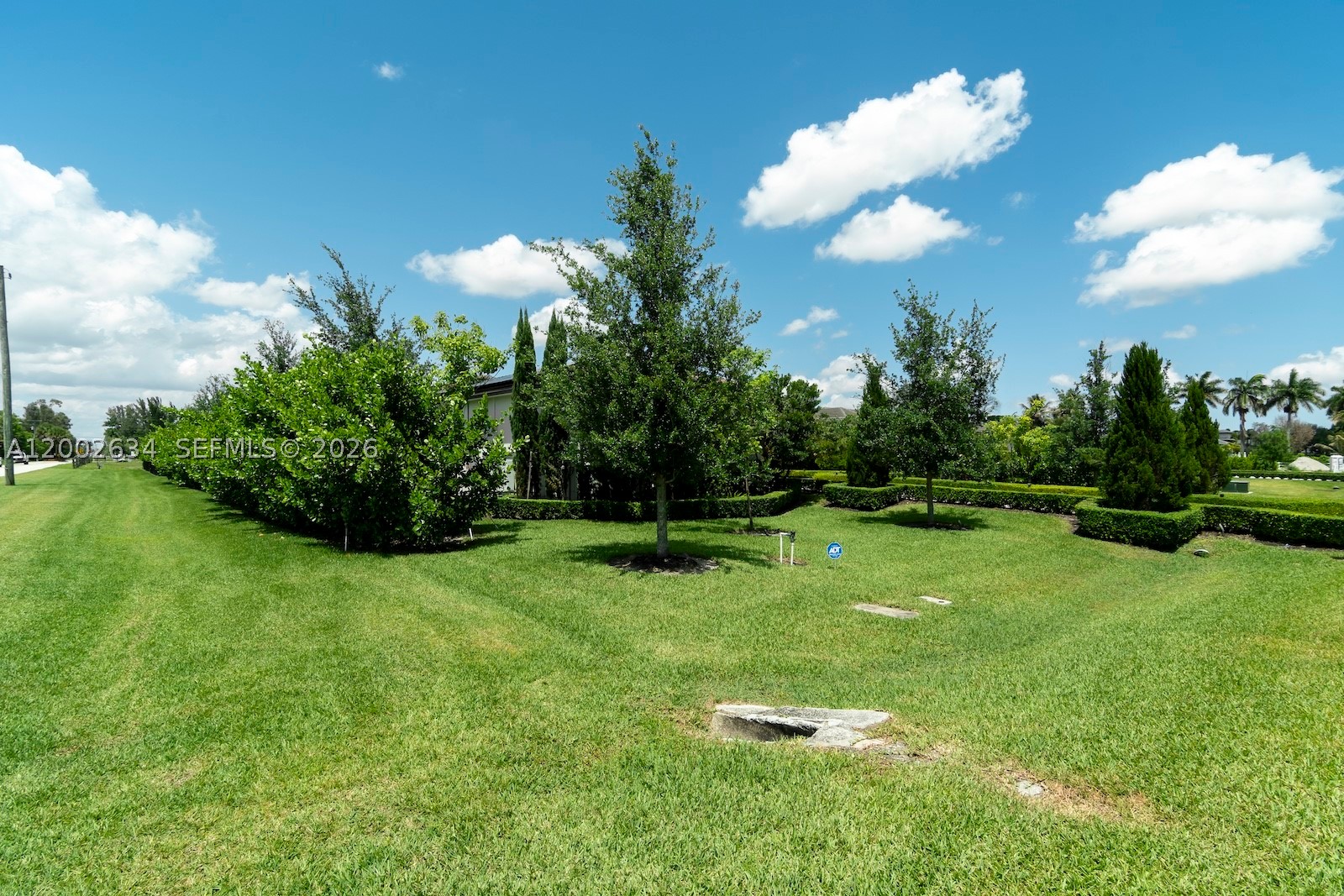 Plantation photo 4