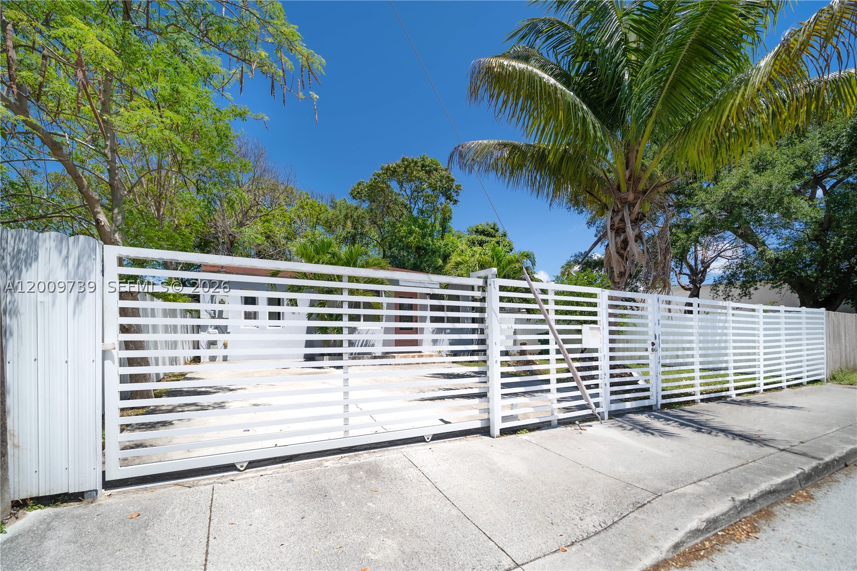 Miami photo 3