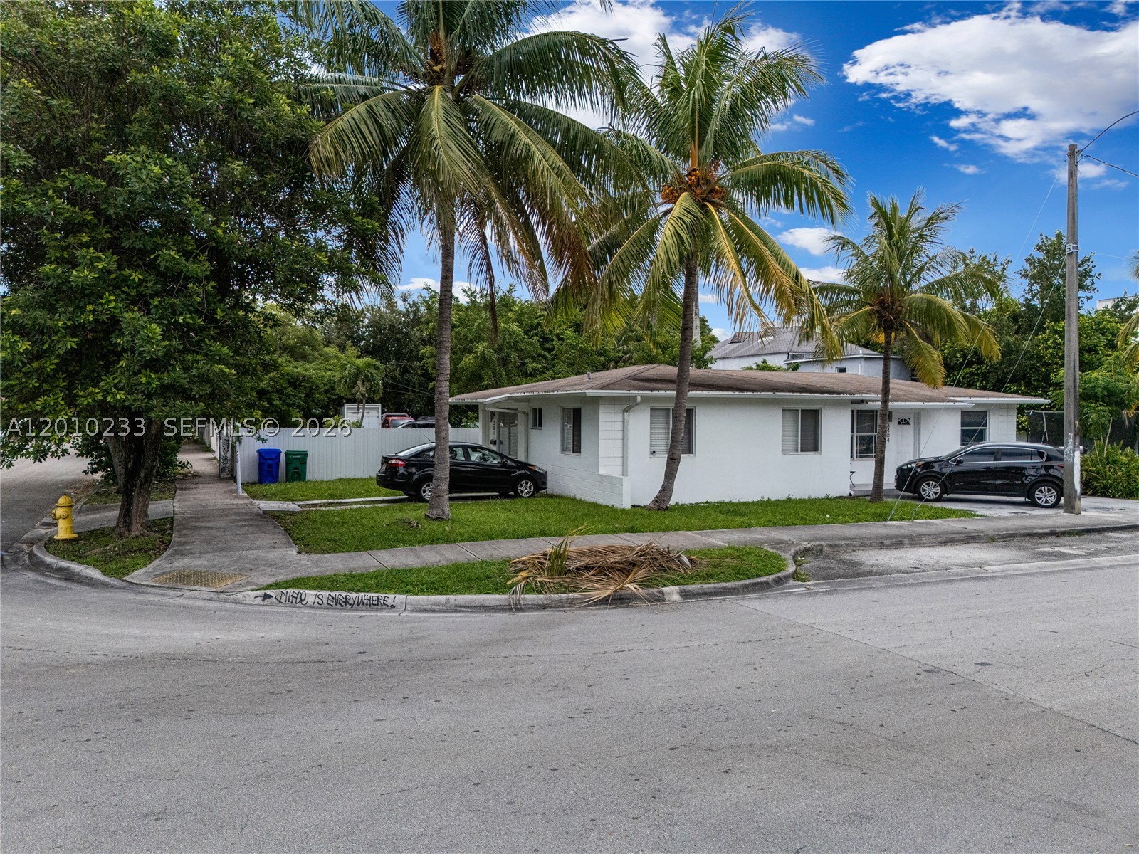 Miami photo 4