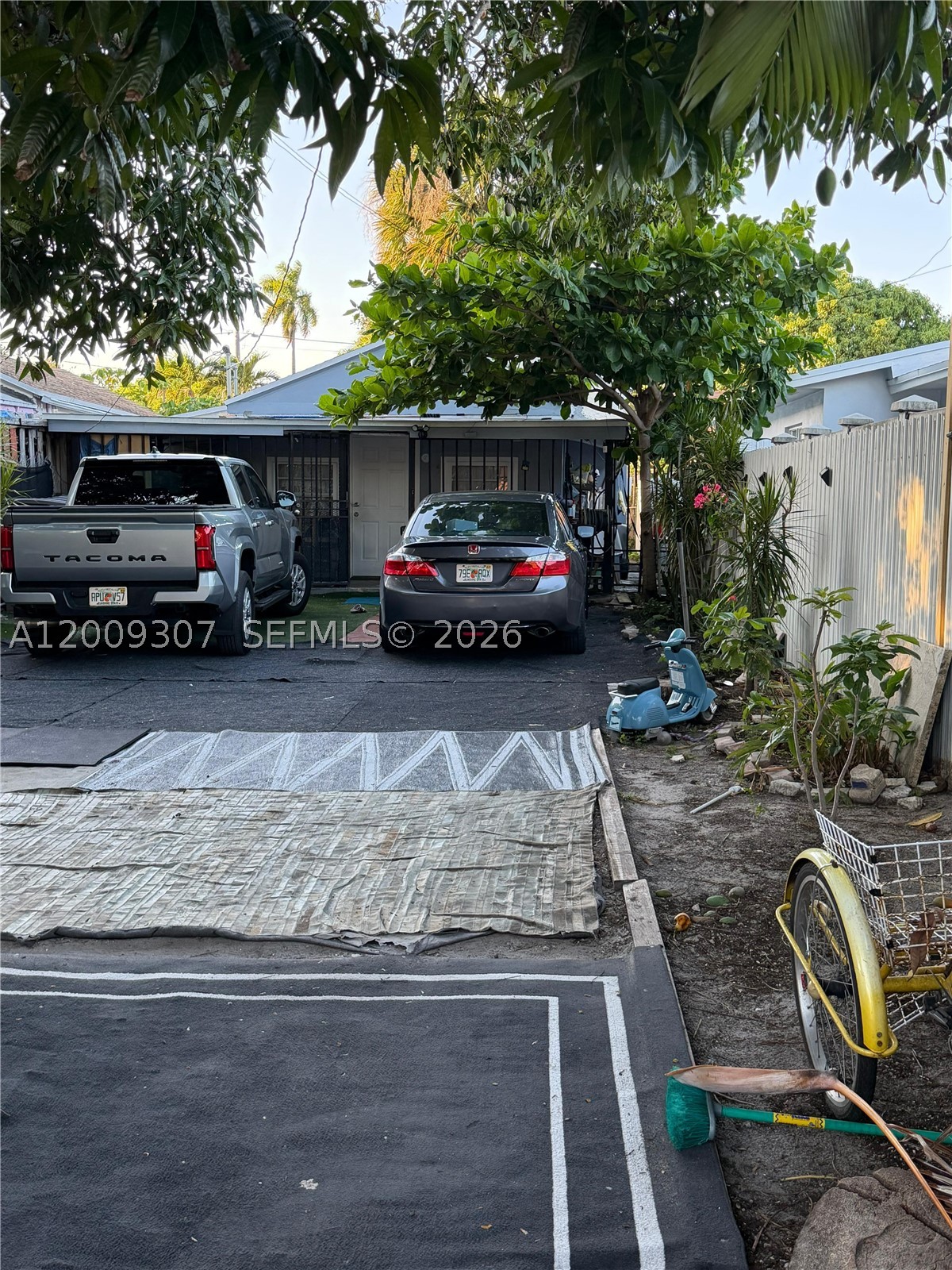 Miami photo 2